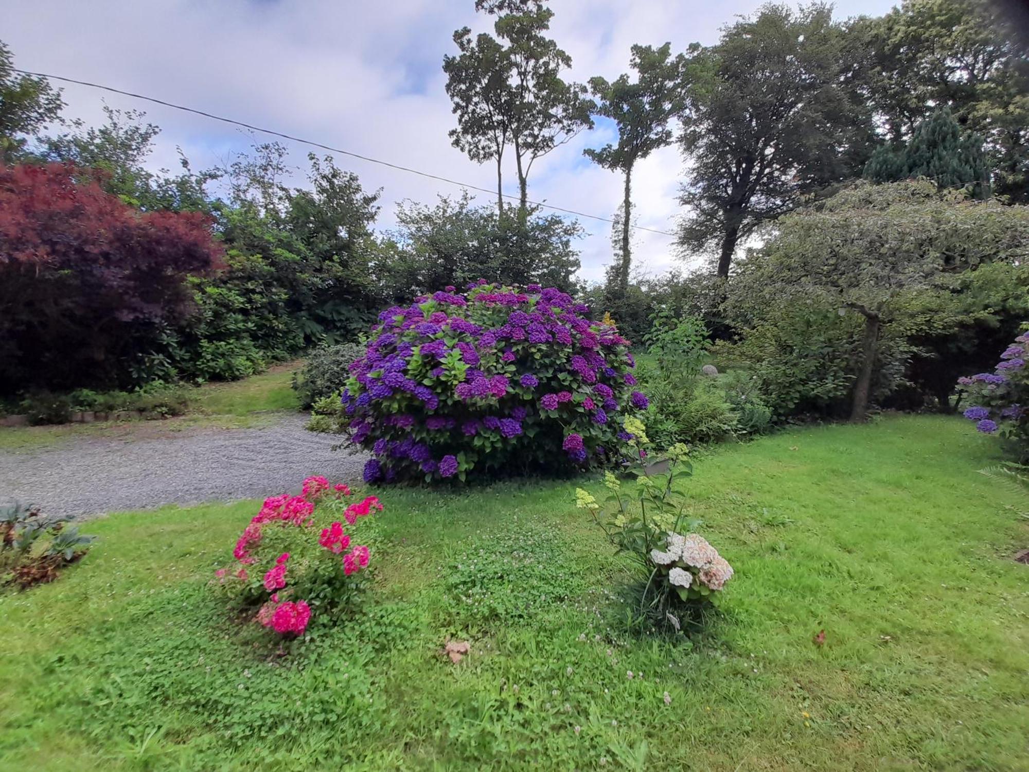 Bed And Breakfast Saultchevreuil, Au Mont Saint Michel Villedieu-les-Poëles Zewnętrze zdjęcie